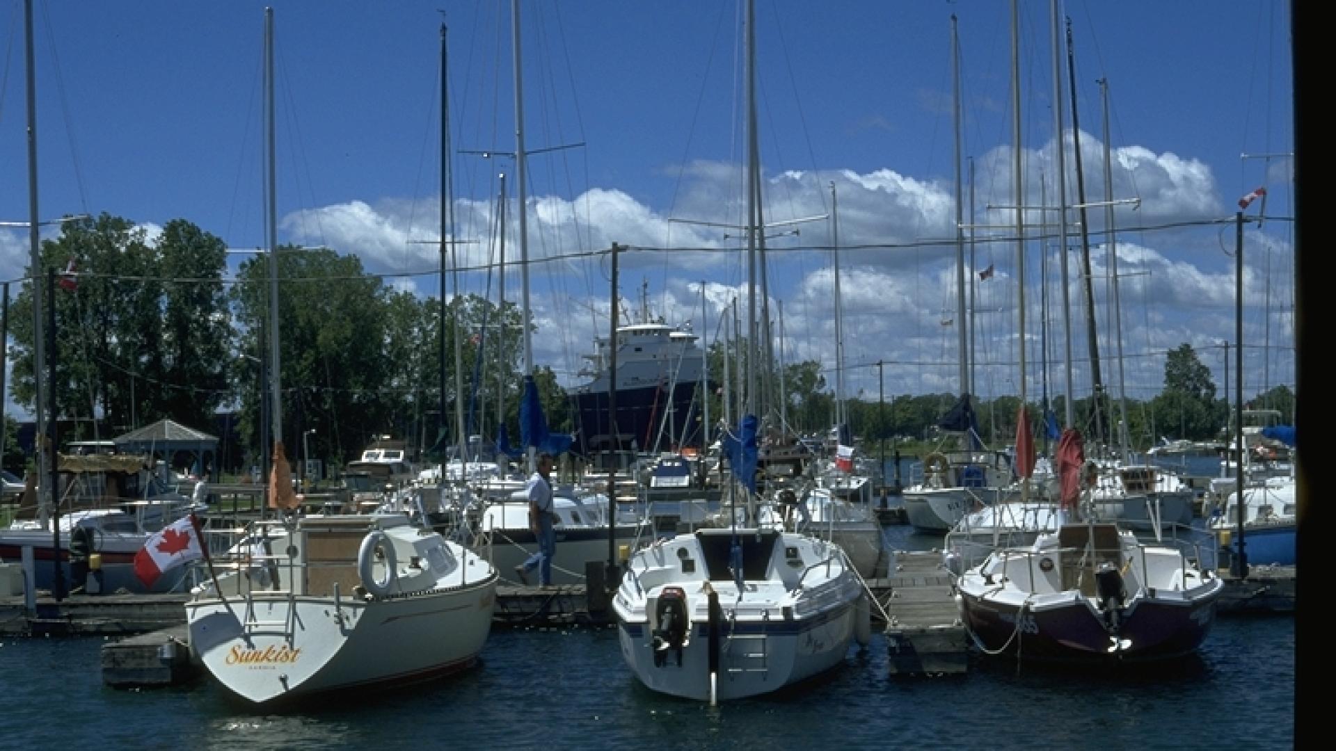 Sailboats moored on dock. 