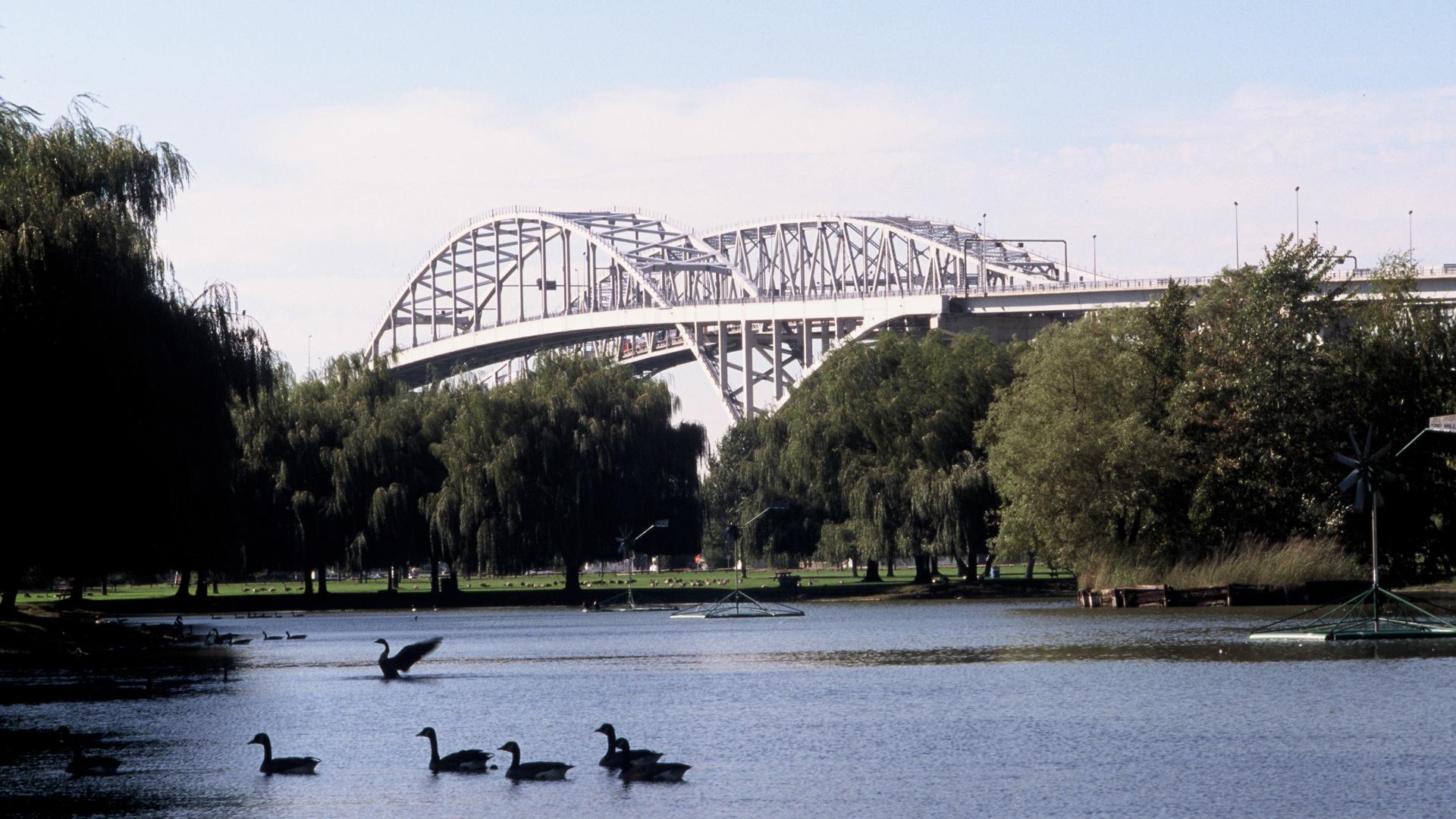 Landscape shot with bridge in the background. There are geese on the water in the foreground.