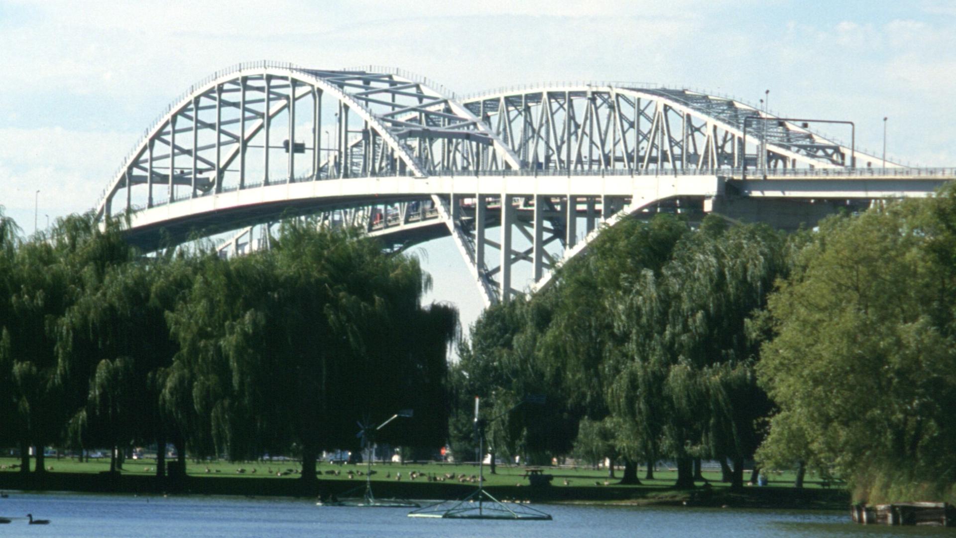 The bridge stands tall in the background. There are geese swimming in the water in the foreground.