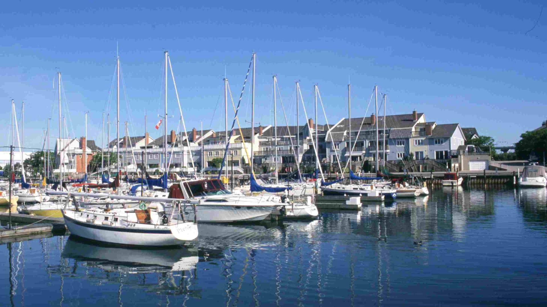 Sailboats moored in a dock. There are building in the back.